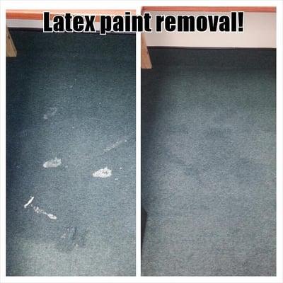 Www.myrestoredfloor.com removed latex paint from commercial carpet cleaning!