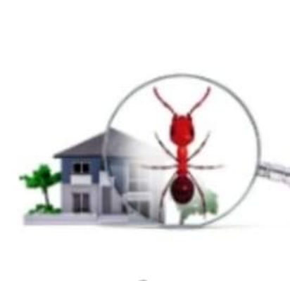 PJA Pest Solutions