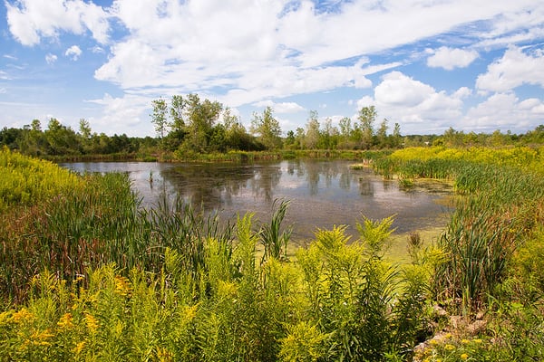 High Acres Nature Area