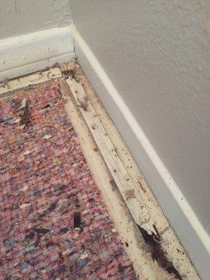 Old carpet tack strip left in place.