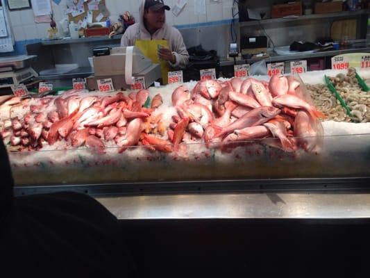 Red snapper $2.99 lb.