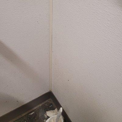 Urine and grime on the walls and floor boards