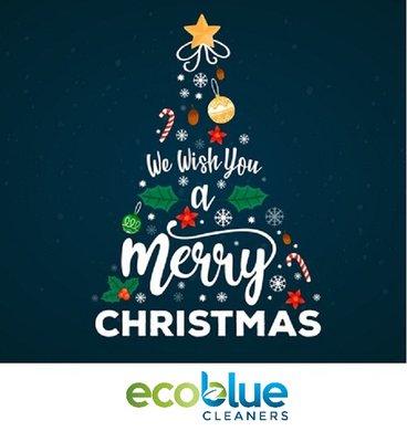 Eco-Blue Cleaners