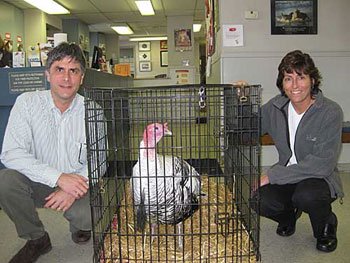 Dr. David Ferrari and Dr. Barbara Gregory, practice owners, posing with a rehabilitated wild turkey