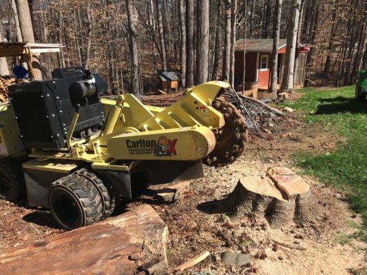 Alexandria Tree Services Unlimited