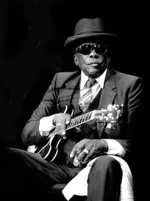 John Lee Hooker by Richard E Aaron