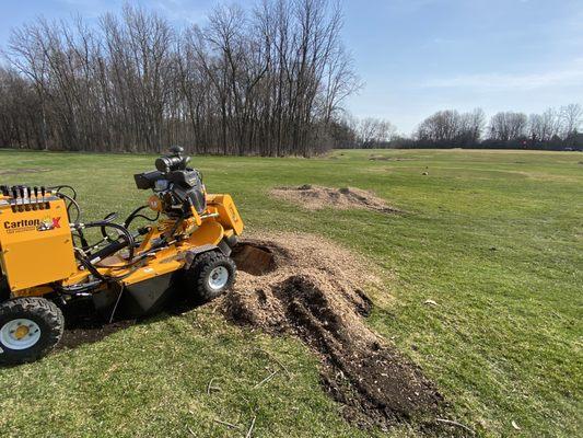 R&B Stump Removal