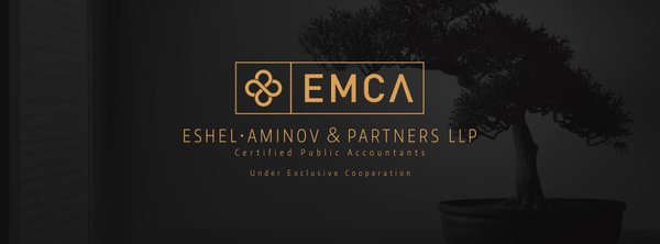 Eshel, Aminov and Partners