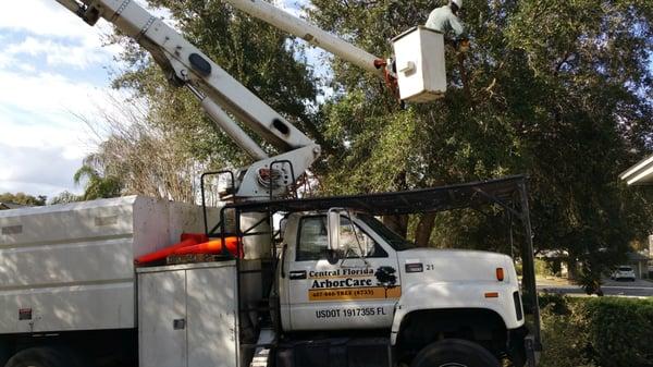 Central Florida ArborCare