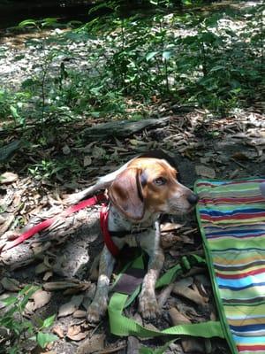 Katie's first visit to Rolling Hill Park