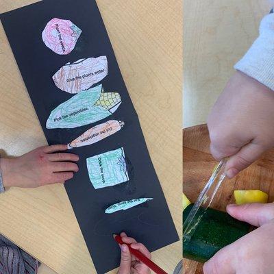 Sequencing activity and chopping Vegetables to make soup as part of our Vegetable unit.