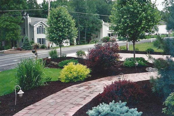 A simple walkway that goes from the driveway to the front door with landscaping surrounding both sides.