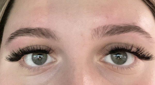 Eyebrows and lash extensions