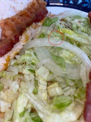 Turkey bacon ranch sub with a side of pubic hair