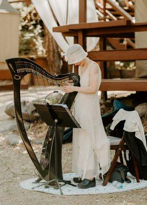 Celtic Harp Music By Anne Roos