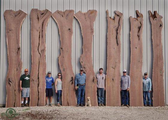 Texas Black Walnut