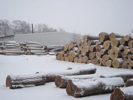 We buy and harvest timber to produce our Pallets Skids & Customer Lumber