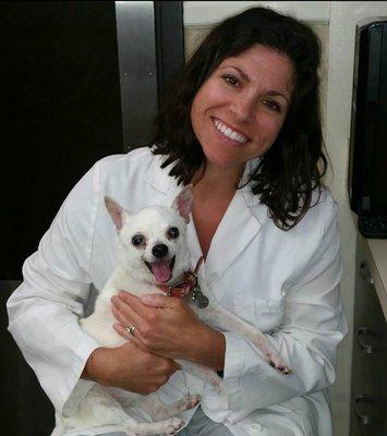 This is Dr. Heyer holding one of our long term clients chihuahua, Annie. Annie has since passed but will forever be in our hearts.