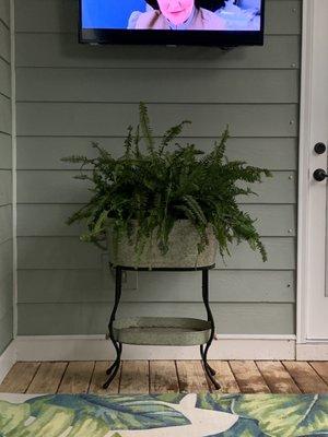 Boston Fern planted in a tub with no drainage.  Red lava rocks on bottom, moisture control potting soil.