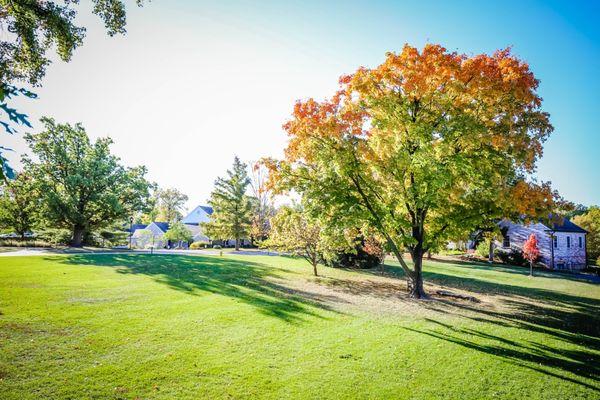 Covenant Seminary's campus