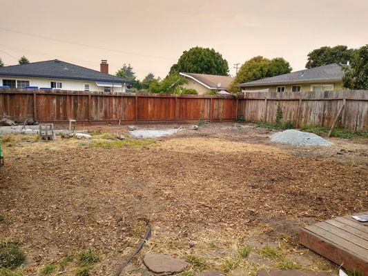 The yard where two large trees recently stood