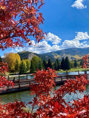 Fall colors are spectacular and our rates are fantastic. Call Beaver Creek West today for short term rental rates.