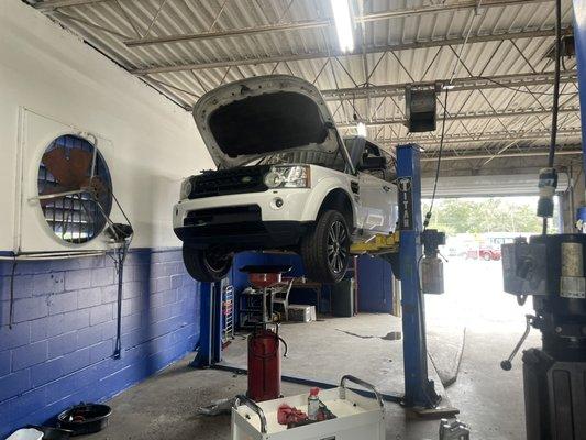 We service higher end vehicles