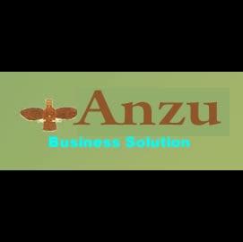 Anzu Business Solution