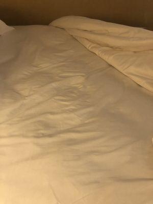 Took the sheets off a made bed to find it looks like it's been slept in