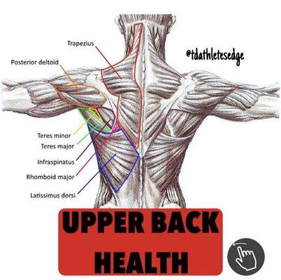 Upper Back Health