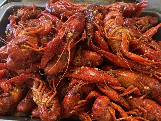 Crawfish