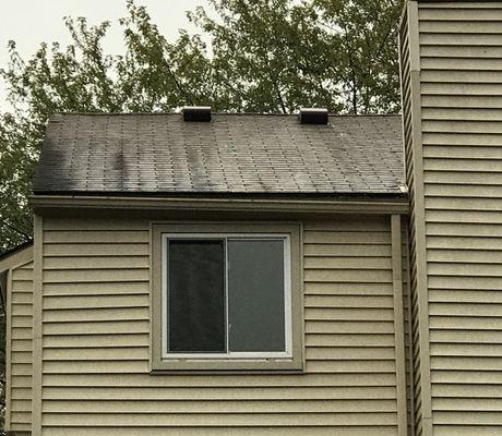 Roof Washing...before