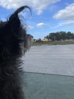 Cloud352 is located in the yellow building my dog is looking towards