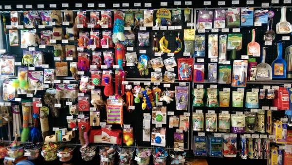 Cat toy paradise.