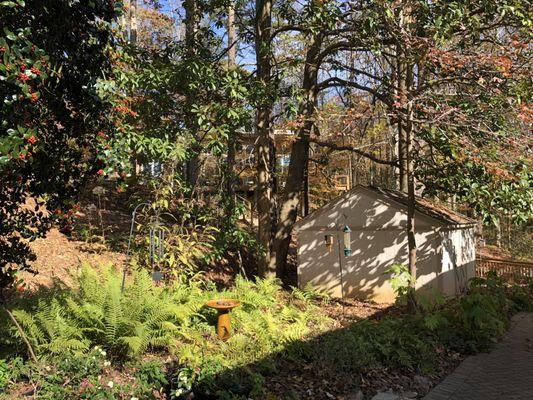 Along the walkway to the nature center.