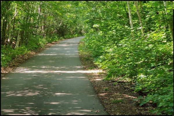 A cool relaxing bike path winding through the Upper Peninsula.