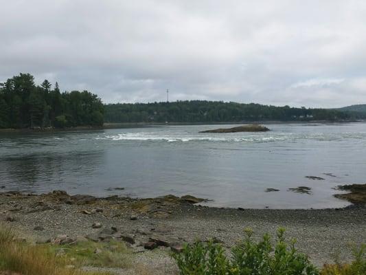 Frenchman Bay Conservancy