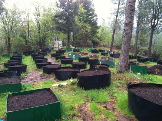 Garden planters using Century Products water barriers