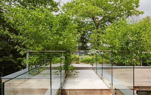 Walk way to the Green roof