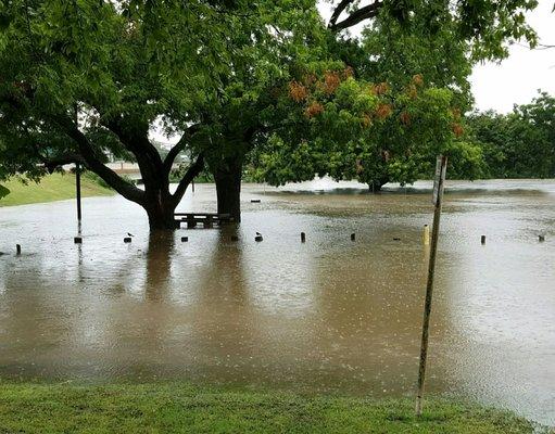 Flood Coffee