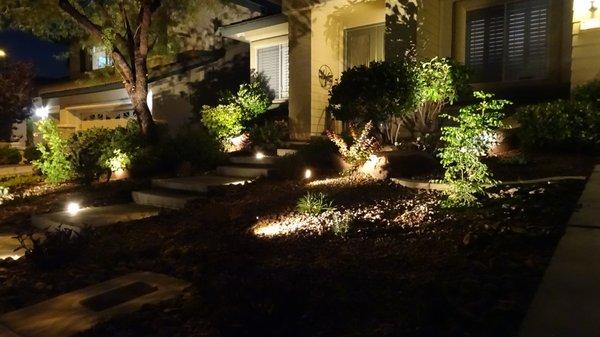 Night lighting highlights specimen plants/ architectural features.