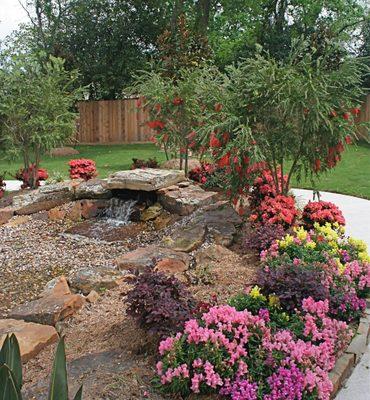 Garden, Waterfall and Koi Pond