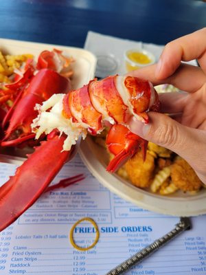 Ray's Seafood & Lobsters