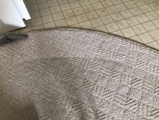 20 year old carpet cleaning up real nice!