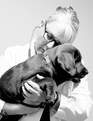 Dr. Richards getting that heart rate on this adorable puppy.