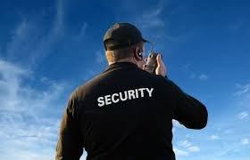 Professional security officers