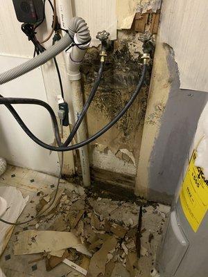 Mold in laundry room