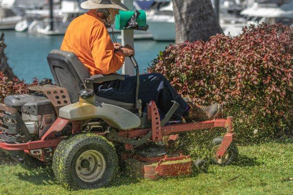 Commercial Lawn Maintenance