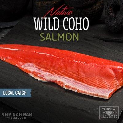 Wild Coho Salmon