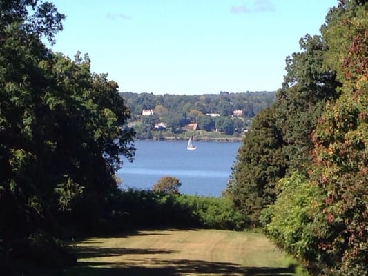 View from the back porch